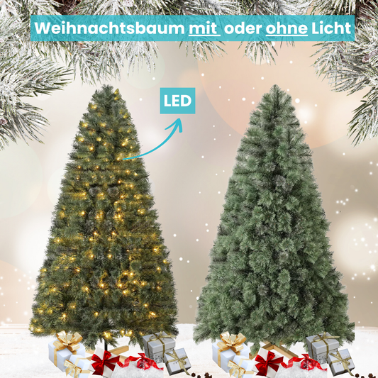 Der unsterbliche Tannenbaum 🎄